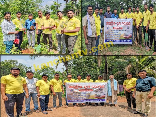 ଛୋଟ ପ୍ରାୟାସ ପରିବାର ତରଫରୁ ବ୍ୟାପକ ବୃକ୍ଷରୋପଣ